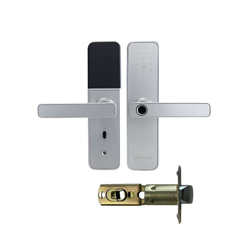 Silver door handle and lock mechanism on a white background