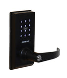 Carbine CEL2-3in1 Standalone Electronic Leverset,  Matt Black