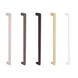 Zanda Bundle Stealth Smart Lock & Duke Pull Handle – Stainless Steel  600mm Back to back