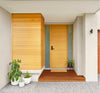 Modern house entrance with wooden door and shutters, potted plants, and a small step.
